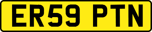 ER59PTN