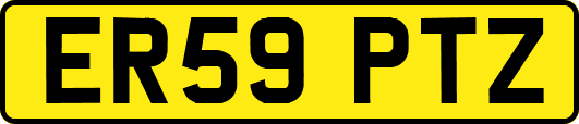 ER59PTZ