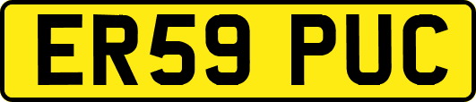 ER59PUC