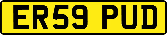 ER59PUD