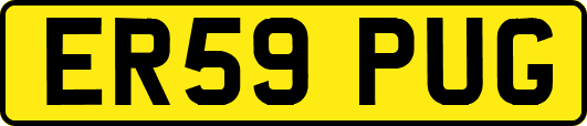 ER59PUG