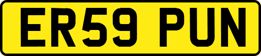 ER59PUN