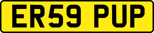 ER59PUP