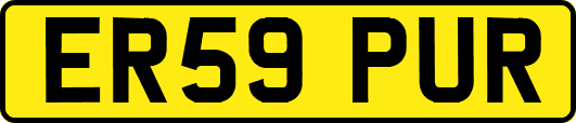 ER59PUR