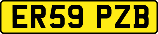 ER59PZB