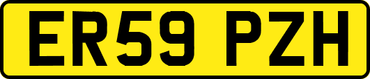 ER59PZH