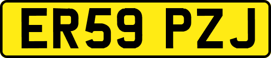 ER59PZJ