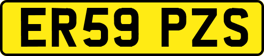 ER59PZS