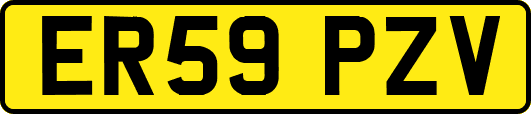 ER59PZV