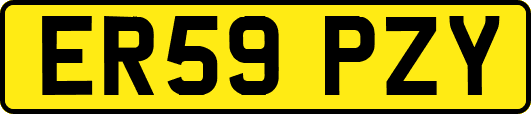 ER59PZY