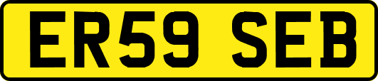 ER59SEB