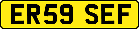 ER59SEF