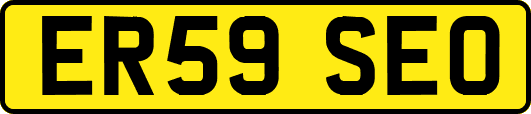 ER59SEO