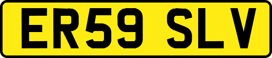 ER59SLV