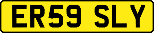 ER59SLY