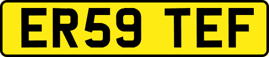 ER59TEF