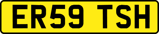 ER59TSH