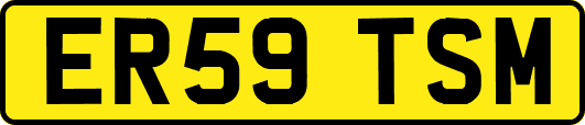 ER59TSM