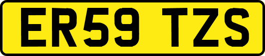 ER59TZS