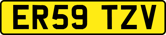 ER59TZV