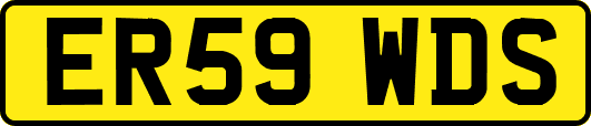 ER59WDS