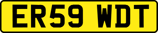 ER59WDT