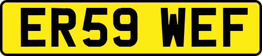 ER59WEF