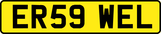 ER59WEL