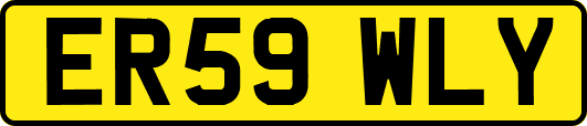 ER59WLY