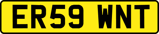 ER59WNT