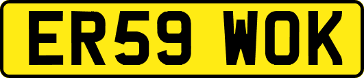 ER59WOK