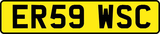 ER59WSC