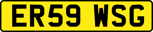 ER59WSG