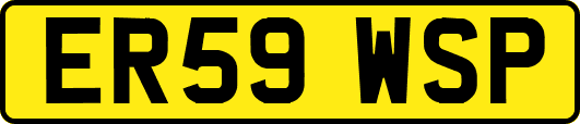 ER59WSP
