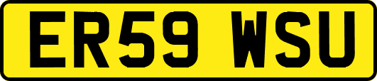 ER59WSU
