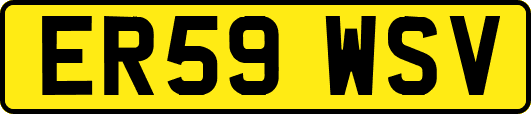ER59WSV