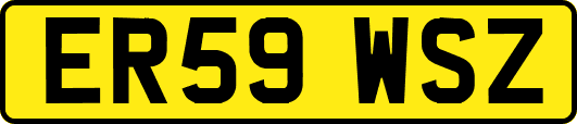 ER59WSZ