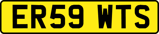 ER59WTS