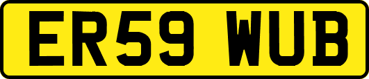 ER59WUB