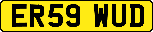 ER59WUD