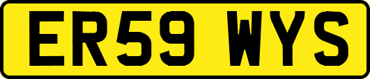 ER59WYS