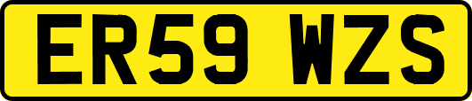ER59WZS