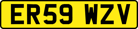 ER59WZV