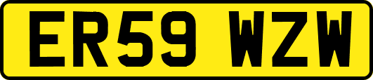 ER59WZW