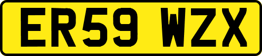 ER59WZX