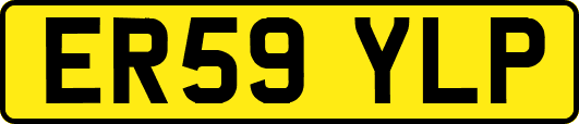 ER59YLP