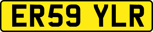 ER59YLR