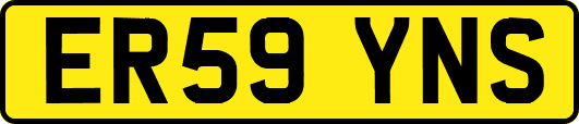ER59YNS
