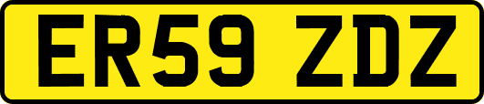 ER59ZDZ
