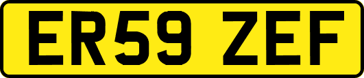 ER59ZEF